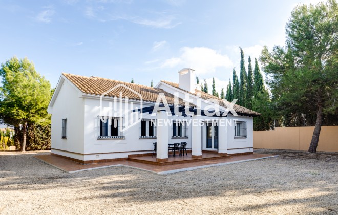 detached - New Build - Fuente Alamo - Fuente Alamo