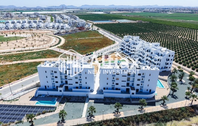 New Build - apartment -
Torre-Pacheco