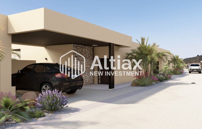 Nouvelle construction - detached -
Murcia