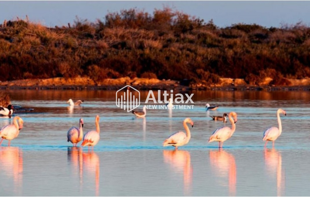 Nouvelle construction - detached -
San Pedro del Pinatar