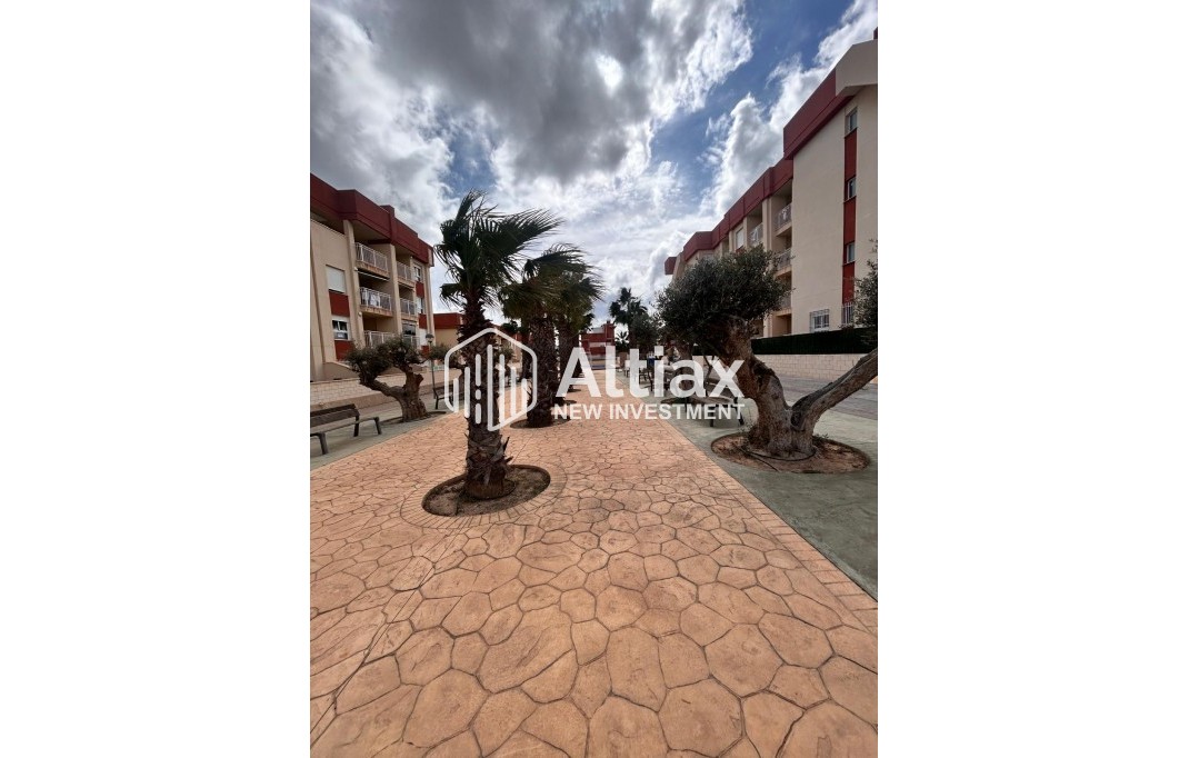 Nueva construcción  - apartment -
Orihuela