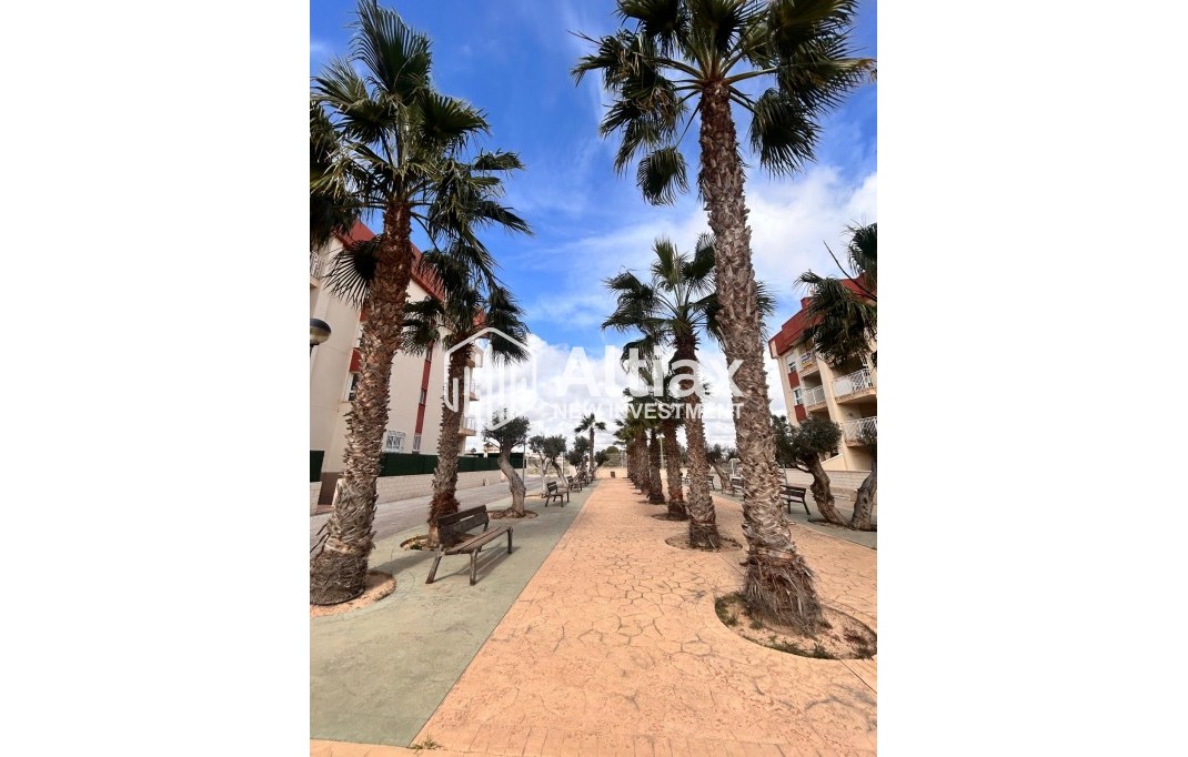 Nueva construcción  - apartment -
Orihuela