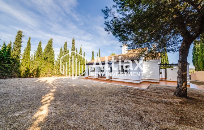 Nouvelle construction - detached -
Fuente Alamo