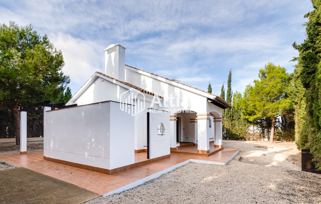 Nouvelle construction - detached -
Fuente Alamo