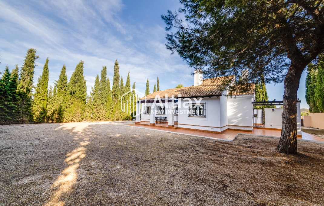 Nouvelle construction - terraced -
Fuente Alamo